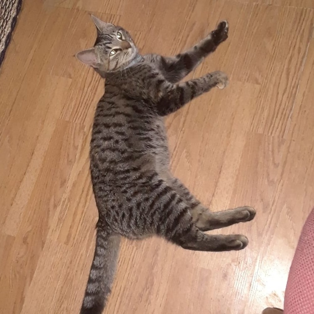 Meet your Posher, Shayne